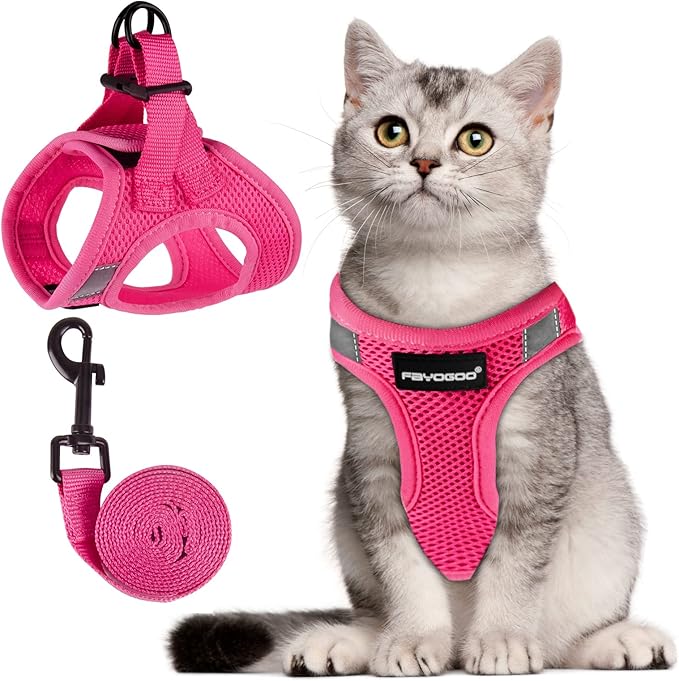 FAYOGOO Cat Harness, Cat Leash and Harness Set for Walking Escape Proof, Harness for Small Cats/Small Dogs, Large Kitten/Puppy Harness and Leash, Harness for Cats S-XXL(Pink, X-Large)