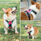 PHOEPET 2019 Upgraded No Pull Dog Harness, Reflective Adjustable Vest, with a Training Handle + 2 Metal Leash Hooks+ 3 Snap Buckles +4 Slide Buckles(XS, Pink)