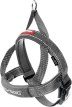 EzyDog Quick Fit Dog Harness, Soft Neoprene Padding - Small, Gray | Fast One-Click Buckle, Adjustable Fit, Strong Reinforced Materials, Reflective Stitching, No Pull Dog Harness, Easy Walking