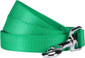 Blueberry Pet Essentials Emerald Dog Leash for Medium - 5' * 3/4" Dogs | Heavy Duty Nylon Lead | Lightweight Puppy & Cat Leash for Walking & Training