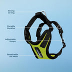Voyager Step-in Pet Harness - All Weather Mesh, Adjustable Step in Harness for Cats and Dogs by Best Pet Supplies - Lime Green/Black Trim, L