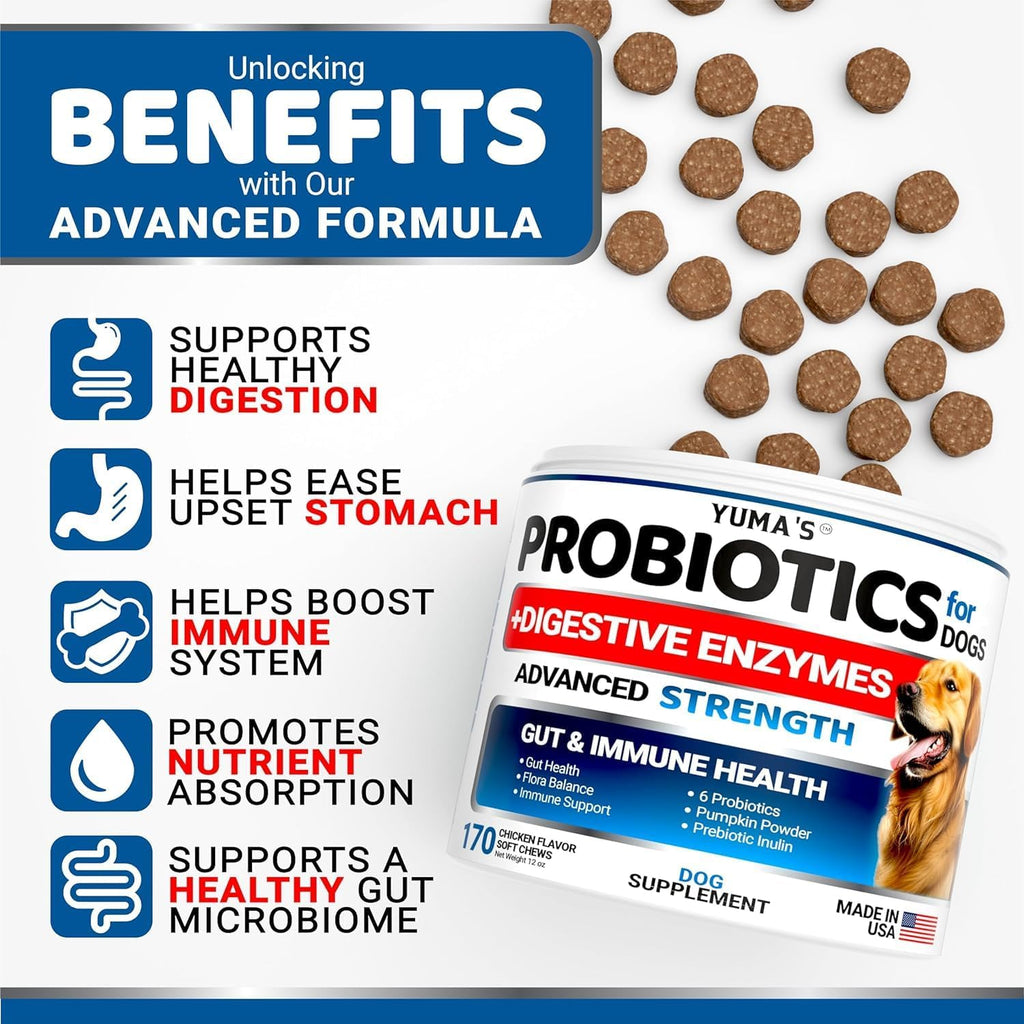 YUMA'S 2 Pack Probiotics for Dogs and Digestive Enzymes - Dog Probiotics Chews - Dog Probiotic - Anti Diarrhea, Upset Stomach & Gas Relief, Constipation, Canine Prebiotic - Pet Fiber Supplement