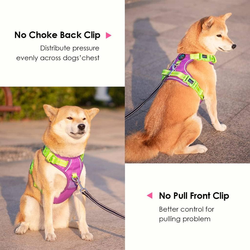 PHOEPET No Pull Dog Harness, Unique Colors Reflective Adjustable Dog Vest, with Soft Training Handle Metal Clips for Small Medium Large Dogs (Purple Base & Green Straps,XS)