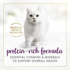 Purina Fancy Feast Senior Wet Cat Food 7 Years Plus Beef Feast Pate - (Pack of 24) 3 oz. Cans
