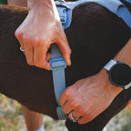 Ruffwear, Front Range Flex Dog Harness, Engineered Knit Construction for Ultimate Fit and Mobility, Lightweight Flexible Everyday Harness with Dual Leash Clips, Basalt Gray, XX-Small