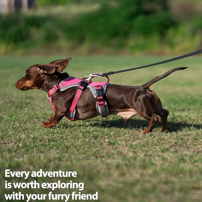 Escape Proof Dog Harness, Dachshund Harness, Reflective Dog Harness with Handle, Durable,Adjustable Vest for Small Medium Large Dogs Walking, Training, and Running Gear (Rose red,L)