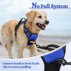 rabbitgoo Dog Harness No Pull with 2 Leash Clips, Adjustable Soft Padded, Reflective Oxford No Choke Pet Vest with Easy Control Handle for Small Dogs, Dazzling Blue, S