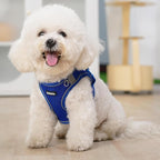 AIITLE Step in Dog Harness and Leash Set - Summer No Pull Escape Proof Vest Harnesses with Soft Mesh and Reflective Bands, Adjustable Pet Outdoor Harnesses for Small and Medium Dogs Royal Blue M