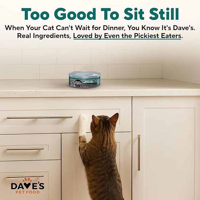 Dave's Pet Food Grain Free Wet Cat Food Gravy (Turkey & Giblets Dinner in Gravy), Made in USA Naturally Healthy Canned, Added Vitamins & Minerals, 5.5 oz Cans (24 Pack)