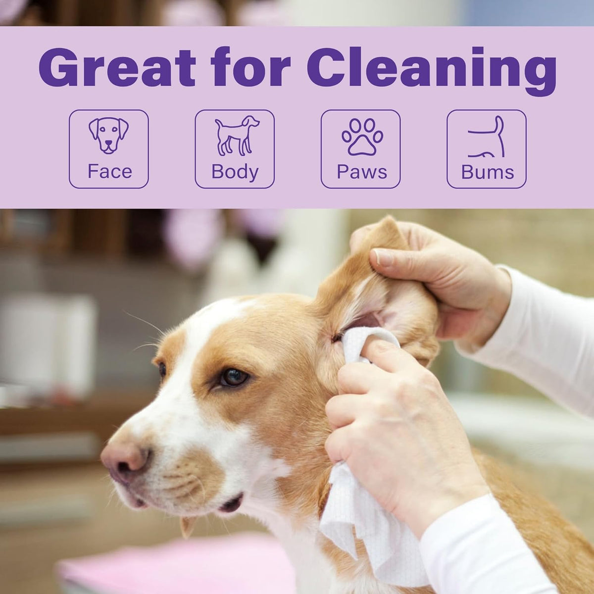 PrimePets 400pcs Dog Wipes for Paws and Butt, Large Pet Wipes for Dogs, Dog Wipes Cleaning Deodorizing, Hypoallergenic, Puppy Wipes for Grooming Face Fur Body, Lavender Scented
