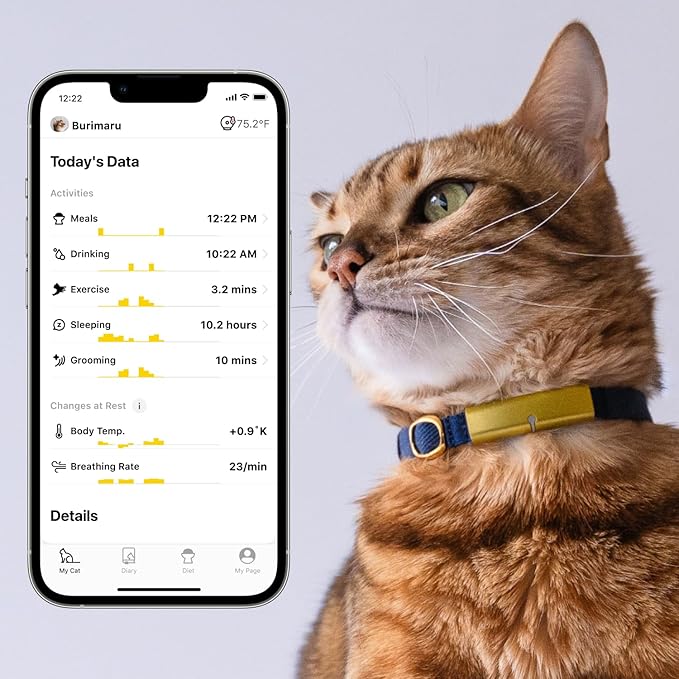 Health Tracker for Cats - Smart Cat Collar with Safety Breakaway Buckle for Indoor Cats, Wellness Alerts, Real-time Monitoring (Ice Blue, XXL)