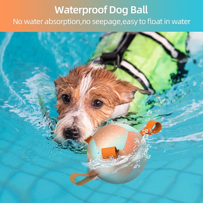 QDAN Small Dog Balls: Dog Soccer Ball with Straps- Premium Dog Toys Balls- Puppy Outdoor Dog Toys Pet Training Ball Birthday Gifts for Small Dogs- Rainbow Orange (5 Inch)
