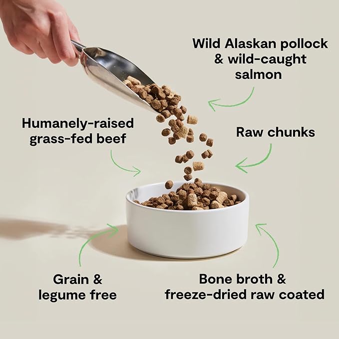 Open Farm, RawMix Grain-Free Dry Dog Food, Protein-Packed Kibble Coated in Bone Broth with Freeze Dried Raw Chunks, Pollock Beef & Salmon, Tide & Terrain Recipe, 20lb Bag