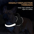Haapaw Essential Dog Harness, No Pull Pet Vest with 3 Leash Clips, No Choke, Reflective, Adjustable and Padded, for Easy Walking and Training for Medium Dogs(M, Black)