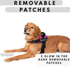 ShawnCo Essential Pro Dog Harness, No-Pull Pet Vest with 3 Leash Clips and Removable, Reflective Side Patches, Adjustable and Padded Harness for Small, Medium and Large Dogs (Oceanic Blue, L)