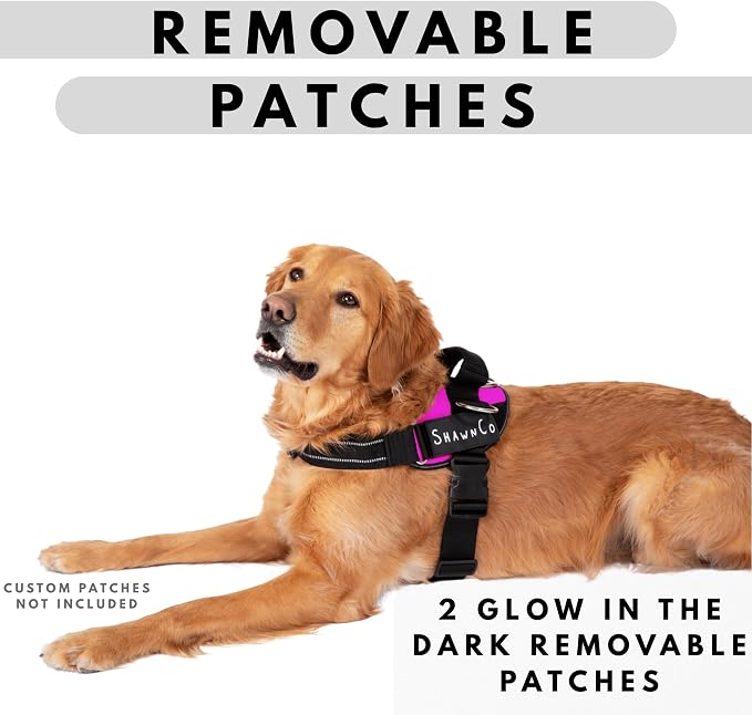 ShawnCo Essential Pro Dog Harness, No-Pull Pet Vest with Removable, Reflective Side Patches, Adjustable and Padded Harness for Small, Medium and Large Dogs (Orchid, XS)