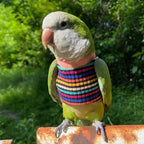 Bird Clothes - Handmade Cotton Stripe Shirt Round Collar Sweater Flight Suit for Parrots African Greys Parakeet Cockatiel Sun Conure Christmas Halloween (with Diaper,2XL)