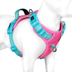 PHOEPET No Pull Dog Harness, Unique Colors Reflective Adjustable Dog Vest, with Soft Training Handle Metal Clips for Small Medium Large Dogs (Pink Base & Green Straps,M)
