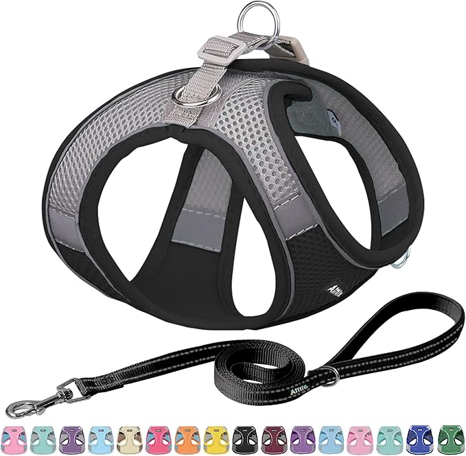 AIITLE Comfortable Dog Harness and Leash Set for Walking - Summer Step in Vest Harness,Reflective Bands, Adjustable No Pull Puppy Essentials, for Small Dogs and House Cats Black XS