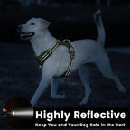 No Pull Dog Harness, Reflective Puppy Vest for Small Medium Large Sized Dog (Misty Green,L)