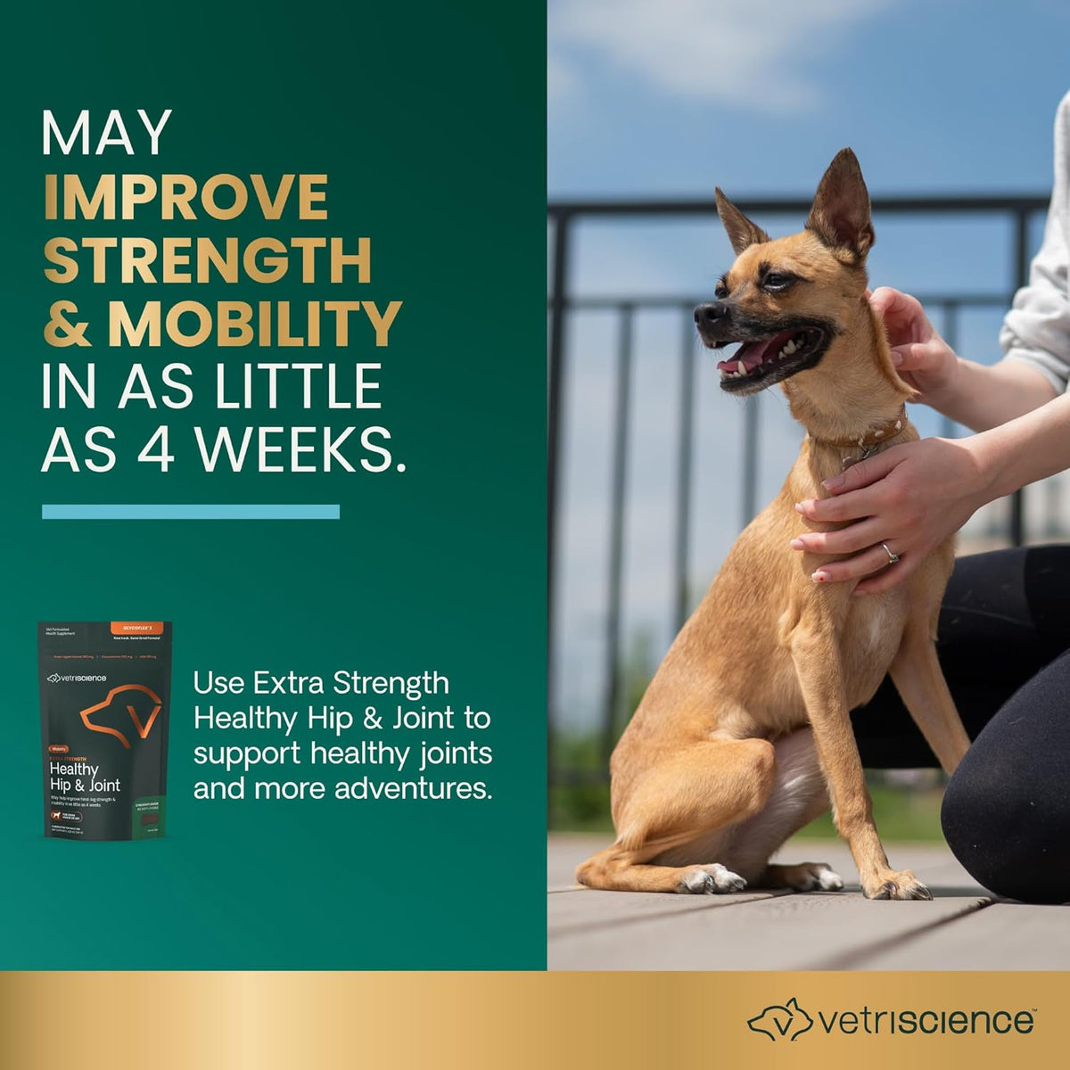 VetriScience Glycoflex 3 Clinically Proven Hip and Joint Support Supplement for Small Dogs - Maximum Strength Dog Supplement with Glucosamine, MSM, Green Lipped Mussel & DMG - 60 Chews,Chicken Flavor