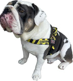Adjustable Dog Harness– No Pull, No Choke – for English Bulldogs, French Bulldogs, Pugs & Broad-Chested Breeds – Easy, Safe Walks (Caution, Small)
