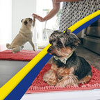 Muddy Mat® | Super Absorbent Door Mat Indoor, Microfiber Quick Dry Chenille Entryway Rug, Non-Slip Front Door Mat, Indoor Mats for Entryway, Machine Washable Pet Rug, Red 28"x18"