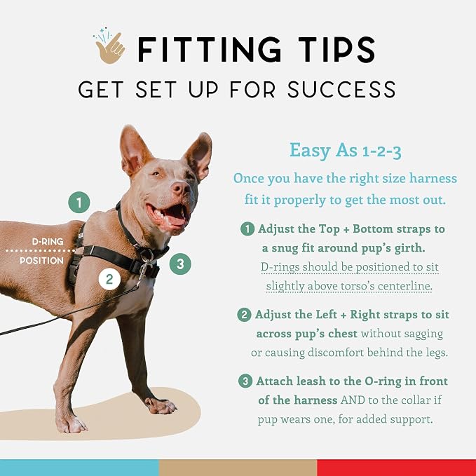No Pull Dog Harness | Comfortable Dog Training Harnesses | Effective No Pull Harness Design | Ideal Dog Harness for Medium Sized Dog | 4-Point Adjustable (M - 22~28 inch Girth, Black)