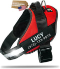 Personalized Dog Harness with Custom Name Patches, Adjustable Reflective No Choke Dog Vest with Handle for Large Dogs, Red, L