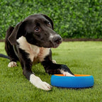 Chuckit! Fetch Wheel Outdoor Dog Toy, Small, For Small Breeds