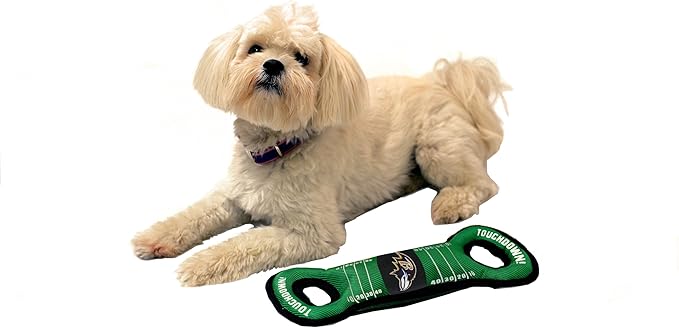 Pets First NFL Football Field Dog Toy with Squeaker. - Baltimore Ravens - for Tug, Toss, & Fetch. - Tough & Durable Pet Toy (Pack of 2)
