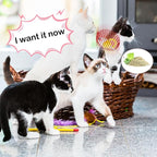 Jecery 5 Pcs Halloween Cat Spring Balls Toys Stretchable Rolling Balls Colorful Playful Coils Interactive Spring Action Toy Caged Rats for Kitten Cat Pet Supplies(Catnip Rats,Bright Color,5 Pcs)