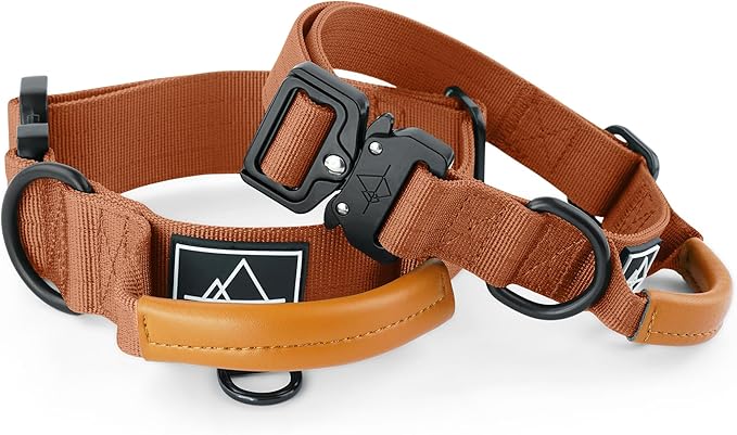 Made to ROAM Premium Explorer Control Collar - Adjustable Heavy Duty Nylon Dog Collar with Quick-Release Metal Buckle and Handle (Nevada Evening, Control Size 3)