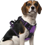 PUPTECK No Pull Dog Harness Medium Sized, Adjustable Reflective Dog Harness with Handle Easy Control, Comfortable Soft Padded Pet Vest Harness for Medium Dogs, Solid Purple M