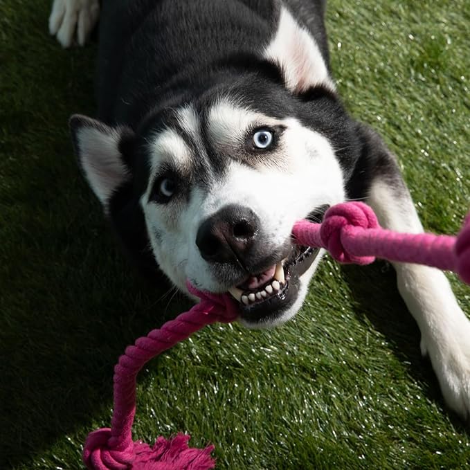 Tumbo Tough Tug Rope Dog Toy - (Pink 5 ft Long Strong and Durable Rope Pull Toy with Handle) TUG of WAR Dog Toy