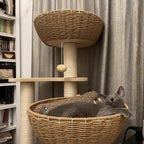 54" Large Modern Cat Trees, Luxury Rattan Oak Solid Wood Cat Trees Towers，3 Weaving Cat Nests & Washable Cool Cushions, Sisal Scratching Posts,Cat Condo for Indoor Cats- Wood Wax Oil Version