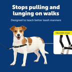 PetSafe Easy Walk Harness, No Pull Dog Harness, Black, Small | Patented Martingale Loop Gives Gradual Shoulder Pressure to Stop Pulling, Front-Chest Leash Clip Prevents Gagging