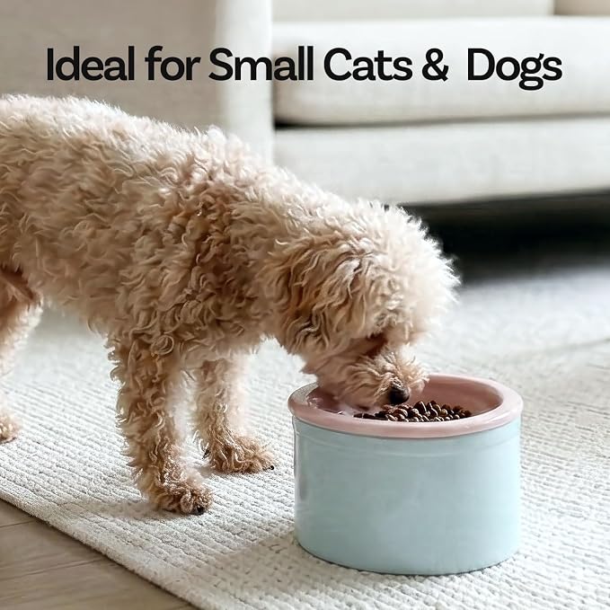 Hello Bowl Elevated Ceramic Cat Bowl with Stand, Raised Whisker-Friendly Feeding Bowl for Cats & Small Dogs, Patented Design, Made in Korea (5.9" H - Pink, Square/Dry)