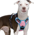 rabbitgoo Dog Harness No Pull with 2 Leash Clips, Adjustable Soft Padded, Reflective Oxford No Choke Pet Vest with Easy Control Handle for Large Dogs, Pink & Blue, XL