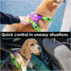 PHOEPET No Pull Dog Harness, Unique Colors Reflective Adjustable Dog Vest, with Soft Training Handle Metal Clips for Small Medium Large Dogs (Purple Base & Green Straps,XS)