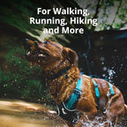 Ruffwear, Flagline Dog Harness, Lightweight and Reflective, No Pull Dog Lift Harness for Hiking, Running and Everyday Use, Alpenglow Pink, X-Small