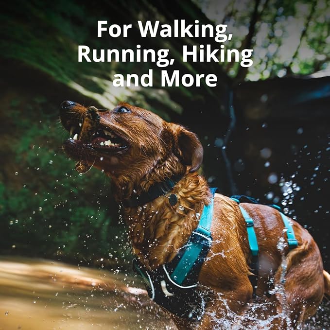Ruffwear, Flagline Dog Harness, Lightweight and Reflective, No Pull Dog Lift Harness for Hiking, Running and Everyday Use, Lichen Green, Medium