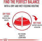 Royal Canin Size Health Nutrition Medium Puppy Thin Slices in Gravy Dog Food, 13 oz (Pack of 12)