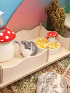 Niteangel Hamster Snack & Treats Toy - Small Animal Natural Treat for Dwarf Syrian Robo Hamsters Gerbils Mice Lemmings Degus or Other Small-Sized Pets