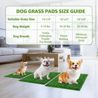 LOOBANI Dog Grass Pee Pads, Artificial Dog Grass Pads for Potty Tray, Fake Grass for Dogs to Pee On, Outdoor Indoor Pee Grass for Dog Potty (18.1*28.1 inch)