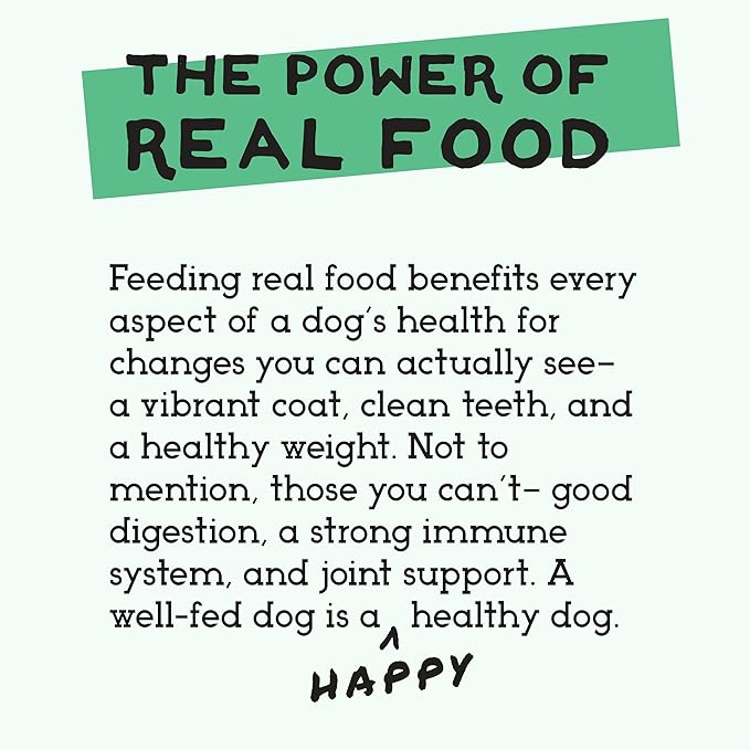 Simple Food Project - Bison Recipe - Freeze Dried Raw Food for Dogs - 24oz
