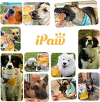 iPaw Chicken Tots Dog Treats for Puppy Training, All Natural Human Grade Dog Treat, Hypoallergenic, Easy to Digest (Chicken Tots), 3 Packs