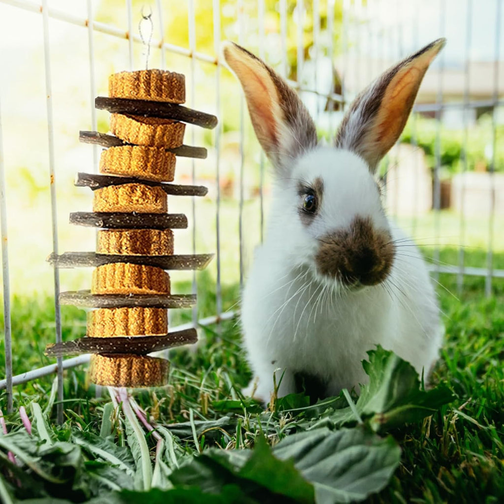 kathson Natural Small Animal Chew Toys for Teeth,4 PCS Rabbit Hanging Chewing Treats with Natural Organic Apple Stick Timothy Grass Carrot Cake for Hamsters Squirrel Guinea Pig Rabbits