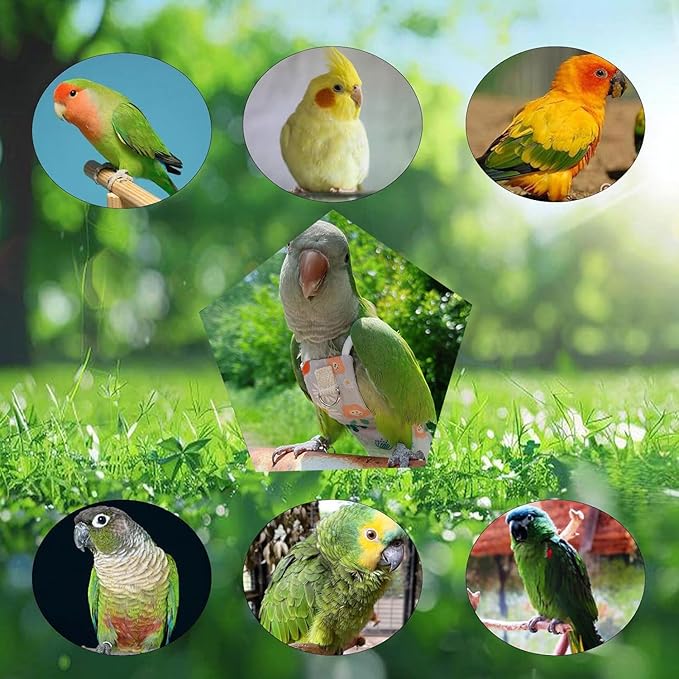 Snap-Closure Parrot Diaper Flight Suit for Cockatiels, Lovebirds & Medium Birds Cotton Washable Escape-Proof Harness with Leash Set(Green Monk Model+1 Meter Rope)