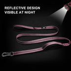 TwoEar 5FT 1IN Strong Pink Dog Leash with 2 Padded Handles, Traffic Handle Extra Control, Comfortable Soft Dual Handle, Auto Lock Hook, Reflective Walking Lead for Small Medium and Large Dogs